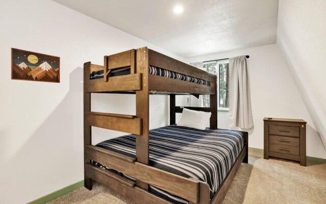 Midnight Pines #2424