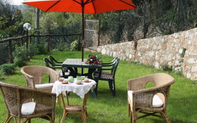 Antica Vigna