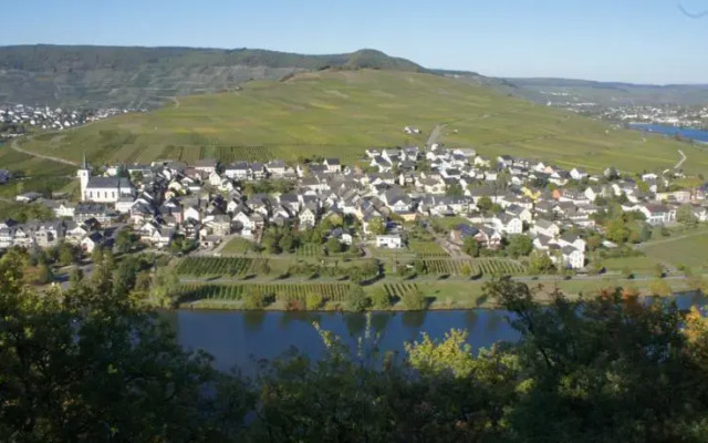 Homestay Öko-Weingut Roman Herzog