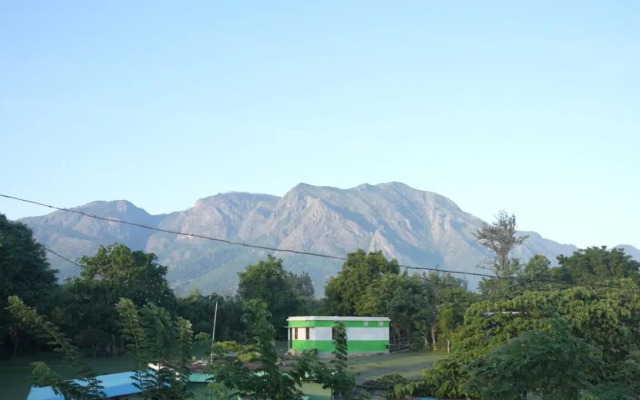 Wild Tusker Masinagudi by LexStays