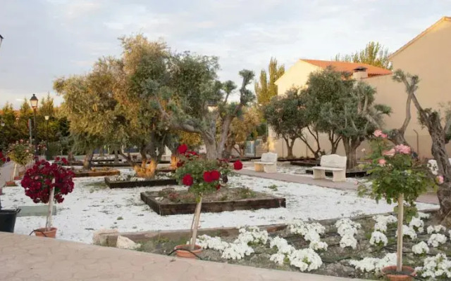 Aparthotel Las Olivas
