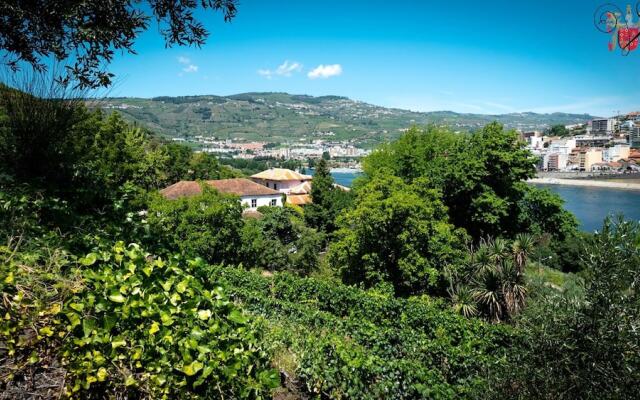 Villa With 3 Bedrooms in Lamego, With Wonderful Mountain View, Private