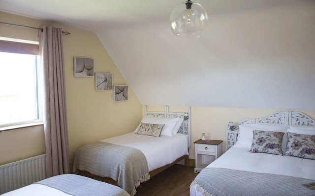 Madra Rua Organic Accommodation