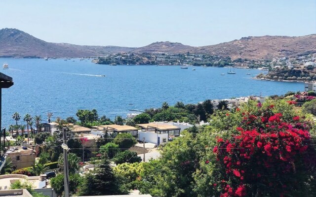 BO093 by Villaofsummer