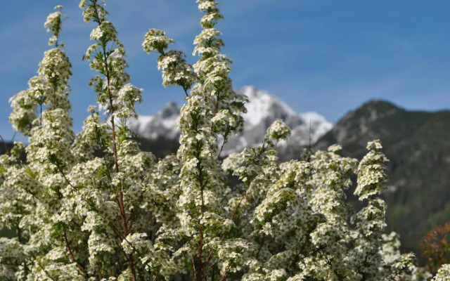 Gasthof Panorama