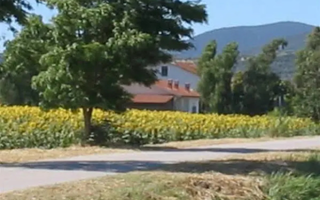 Agriturismo San Luigi