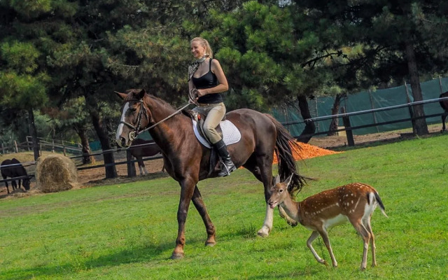 Villa V3 4 pax in Isola Albarella