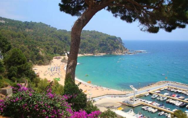 107517 - Apartment in Lloret de Mar