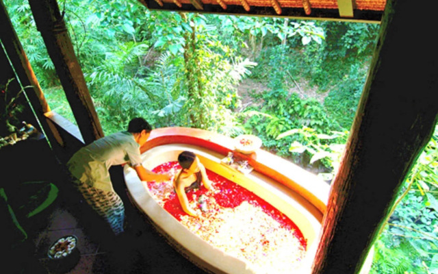 Natura Resort and Spa