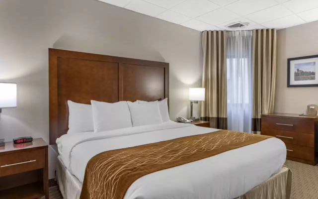 Comfort Inn Syosset-Long Island