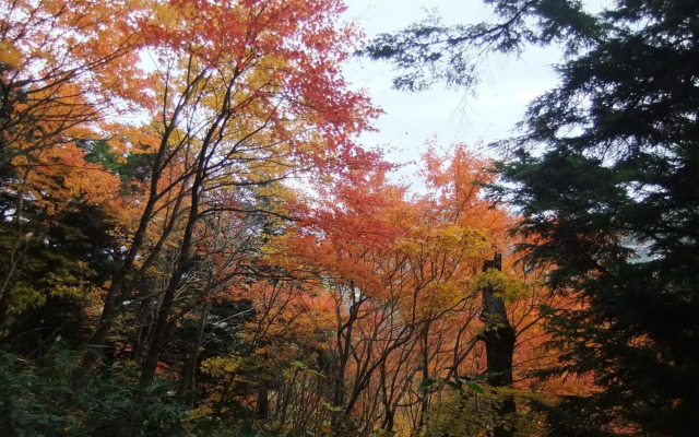 Shiga Park Hotel