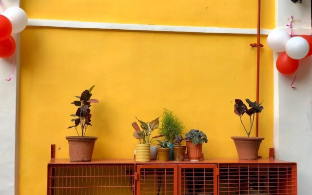 Hotel Saluja