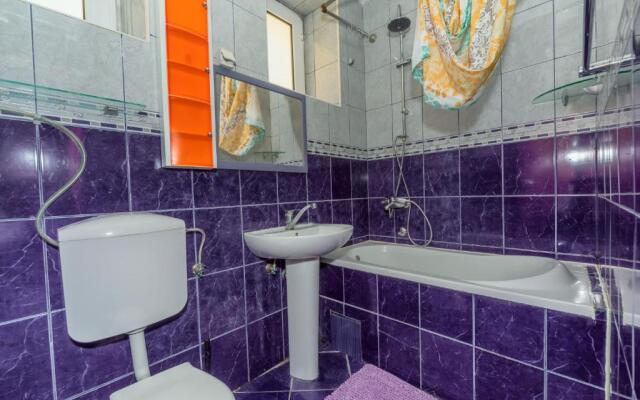 Waterfront Apartment Petrovina