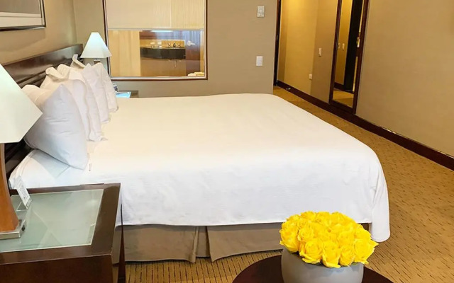 Eurobuilding Hotel & Suites Guayana