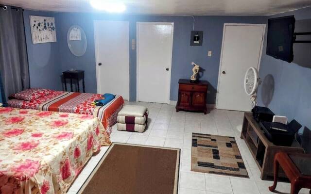 Apartment 379 Hudson Avenue