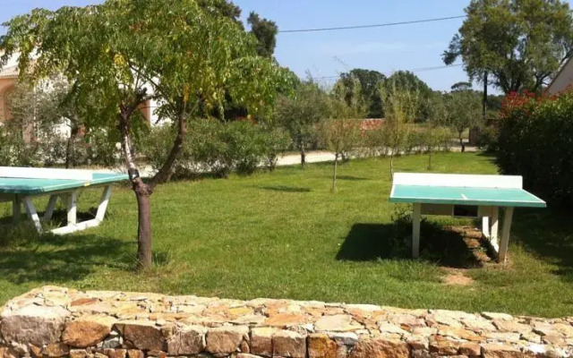 Sci i Tirli