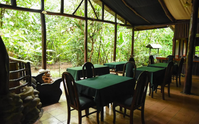 Chilamate Rainforest Eco-retreat - фото 4