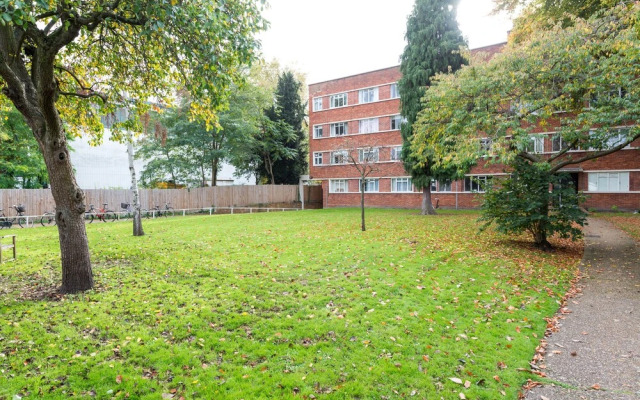 Warm and welcoming Home in Putney