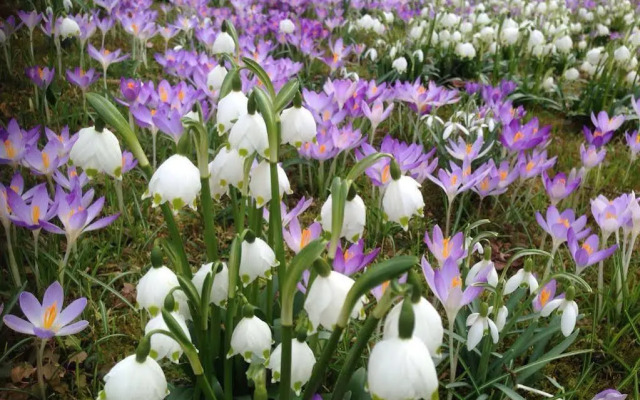 Wohlfühlhotel Sonnengarten