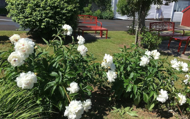 Harmony B&B & Suites