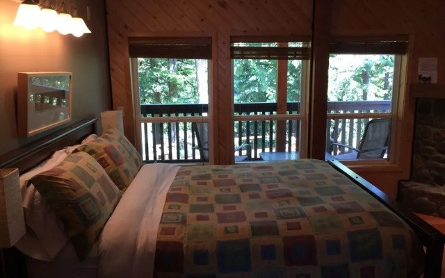 Wild Pacific Waterfront Cabins