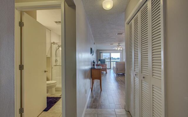 Anna Maria Island Beach Palms 2A