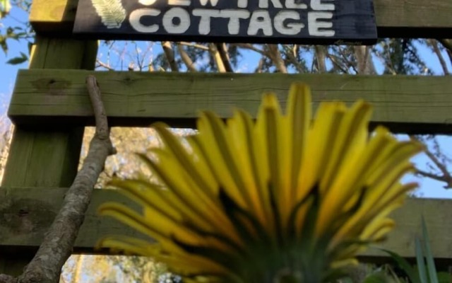 Yew Tree Cottage B&B