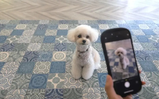 Wan's Resort Jogasaki Coast