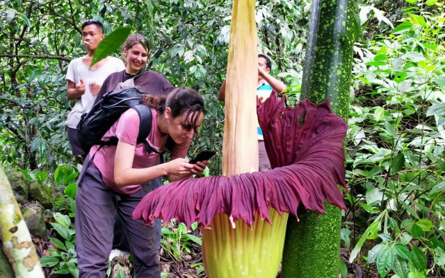 Bukit Lawang Indah