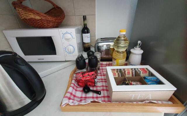 Apartment Irena
