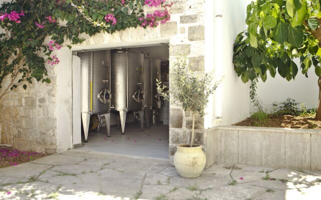 B&B Tenuta Canneddi