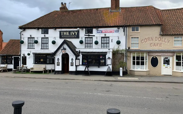 The Ivy