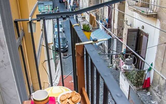 Guest Art Napoli
