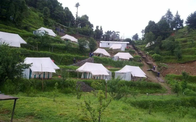 Camp Carnival