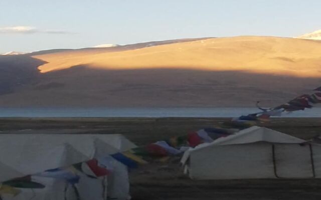 Golden Mark Camp