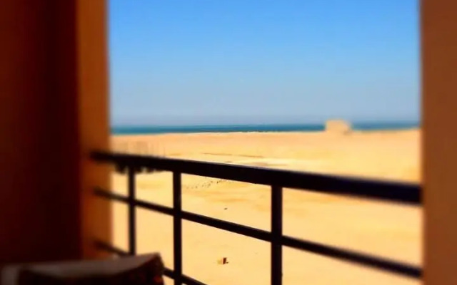 Cozy little studio near Kite station.