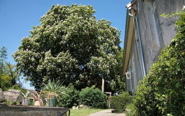 ZI Rosina mit Burggartenblick