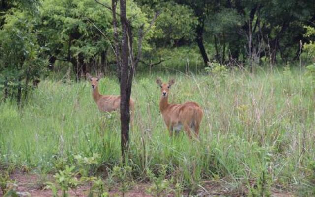 Mawimbi Bush Camp