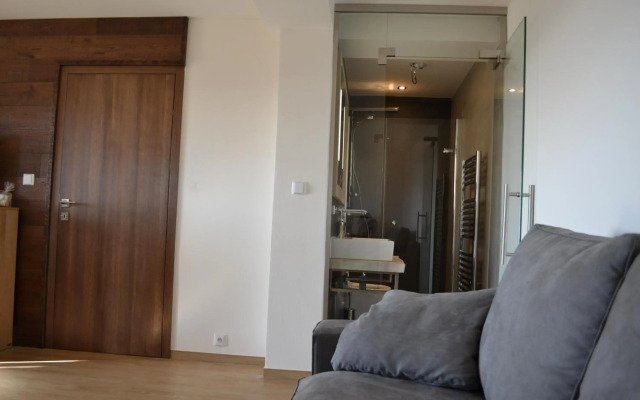 Luxury Wellness Apartment