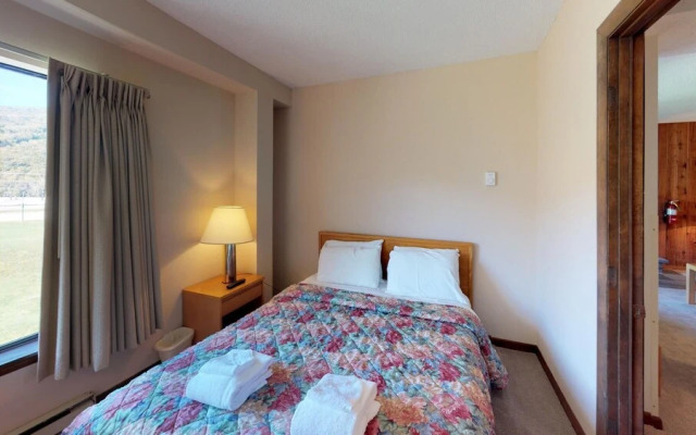 Mt Green 3-e10 in Killington