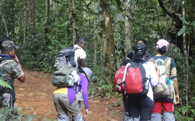 Explorer by Eco team - Sinharaja