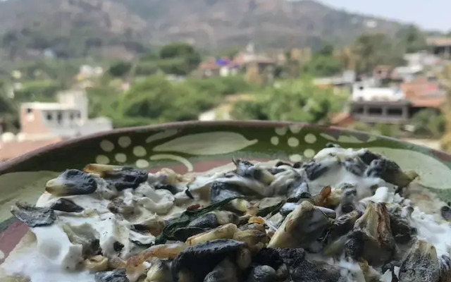 Revolucion Hospedaje