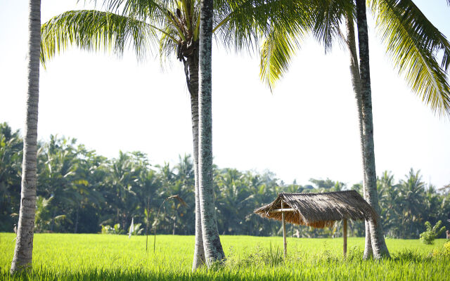 The LUXE Ubud, a Boutique Hotel