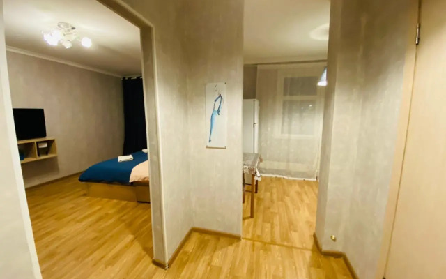 Apartment Hanaka on Bibliotechnaya 17