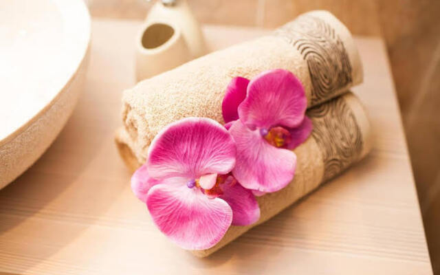 Traditional Apartments Vienna Tav - Design