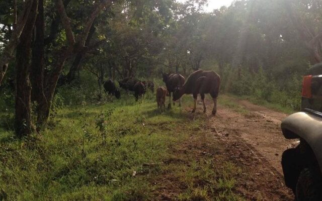 Forest Hills Farm & Guesthouse