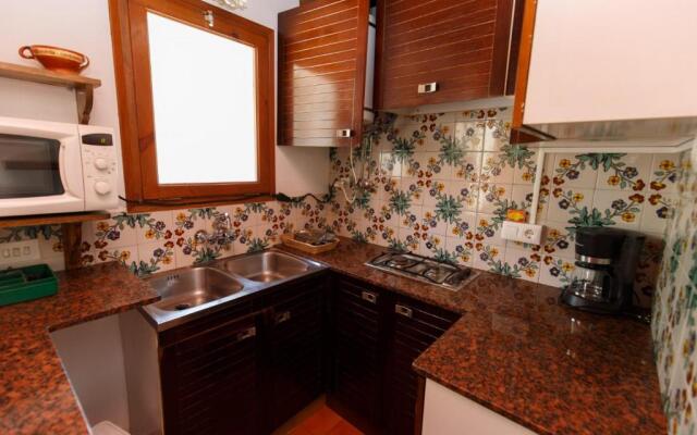 Calsina Bax 2h