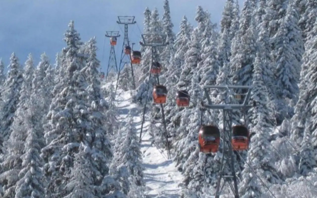 Borovets Gardens Studio D36