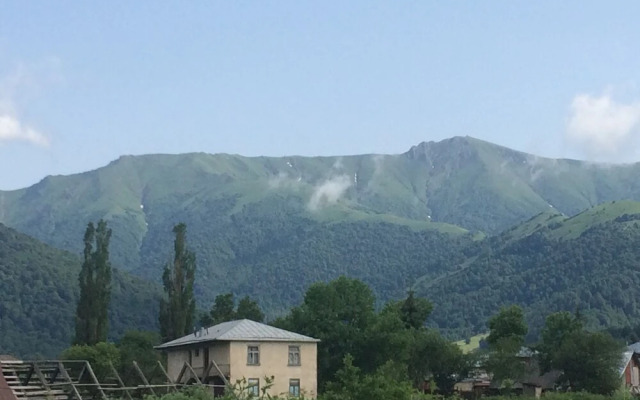 Mount view