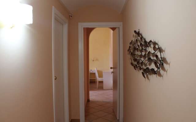 B&B Reginella